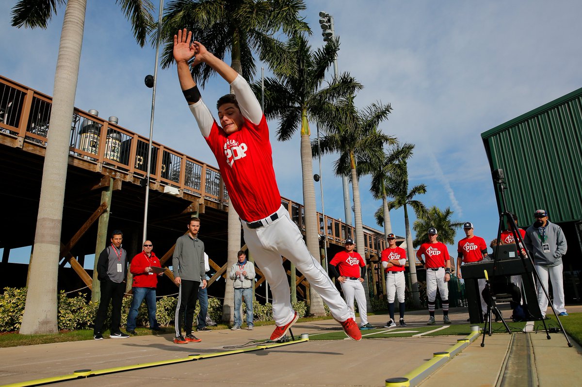 MLB/USA Baseball PDP tweet media