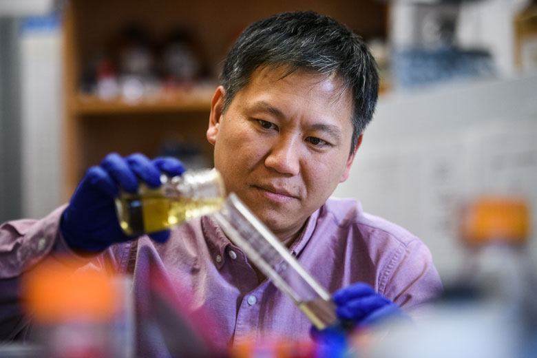 IUPedu's tweet photo. Zebrafish can regenerate their kidneys. Why can't humans?
That's just one question Dr. Cuong Diep has been asking in his research. We asked him four. Learn more about Diep's research and hopes for kidney regeneration 👉 https://t.co/XUqaYeq738 #IUProots https://t.co/PFWT6Btfau