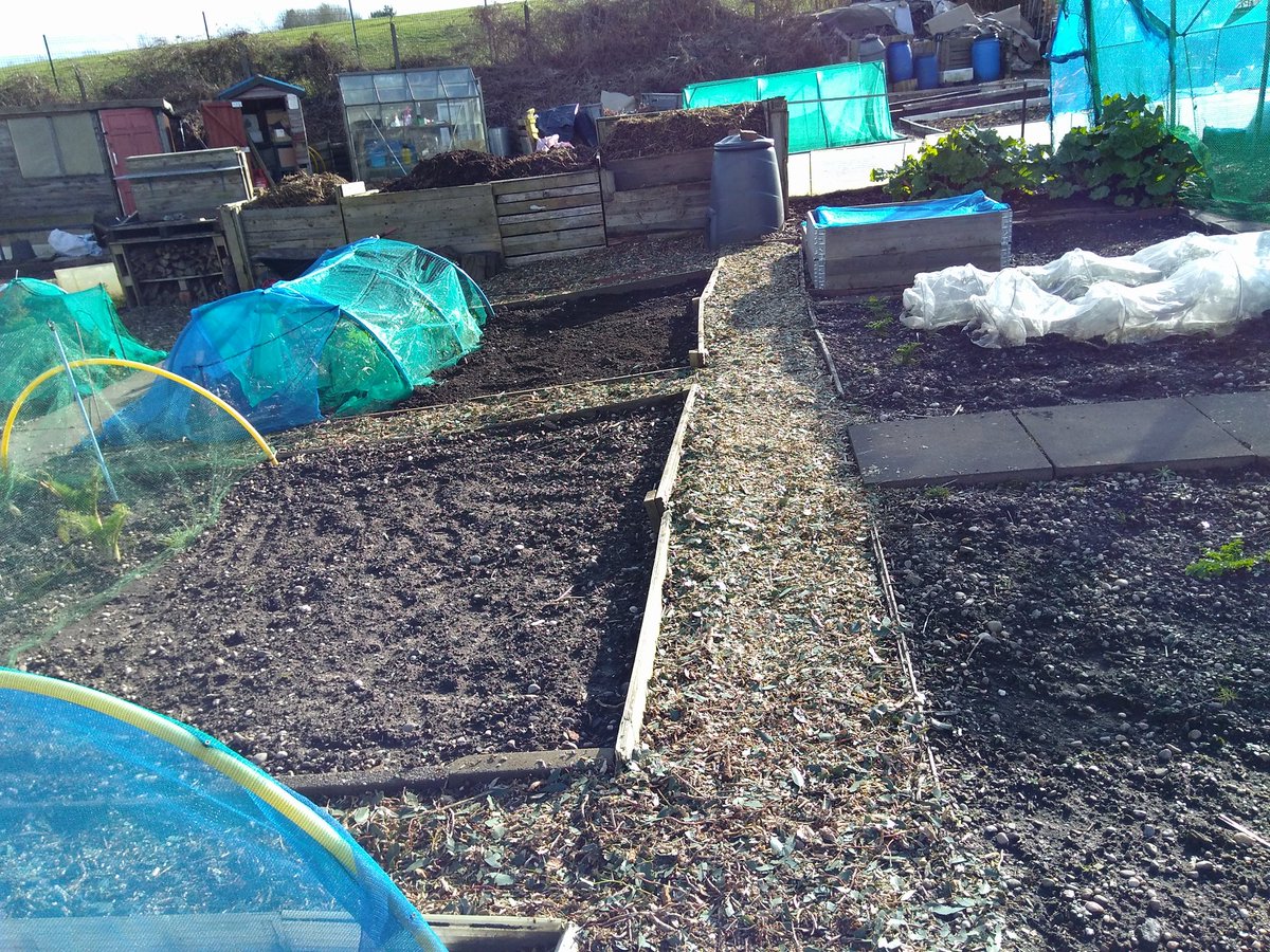 canudigit15's tweet photo. In a break in the rain, topped up the woodchip paths on #plot15 and turned  refilled the compost bays. #allotment hoping that the rain stops soon. https://t.co/C3R3Xj0V4Z