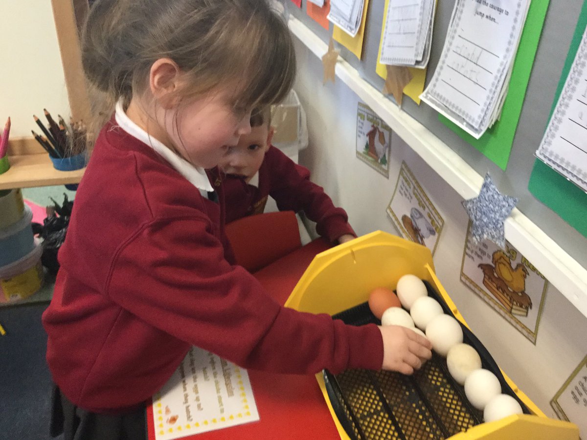 StMattsLL's tweet photo. There has been a very special delivery in Reception #SpringIsComing #SpringChick https://t.co/JdIXACMClF
