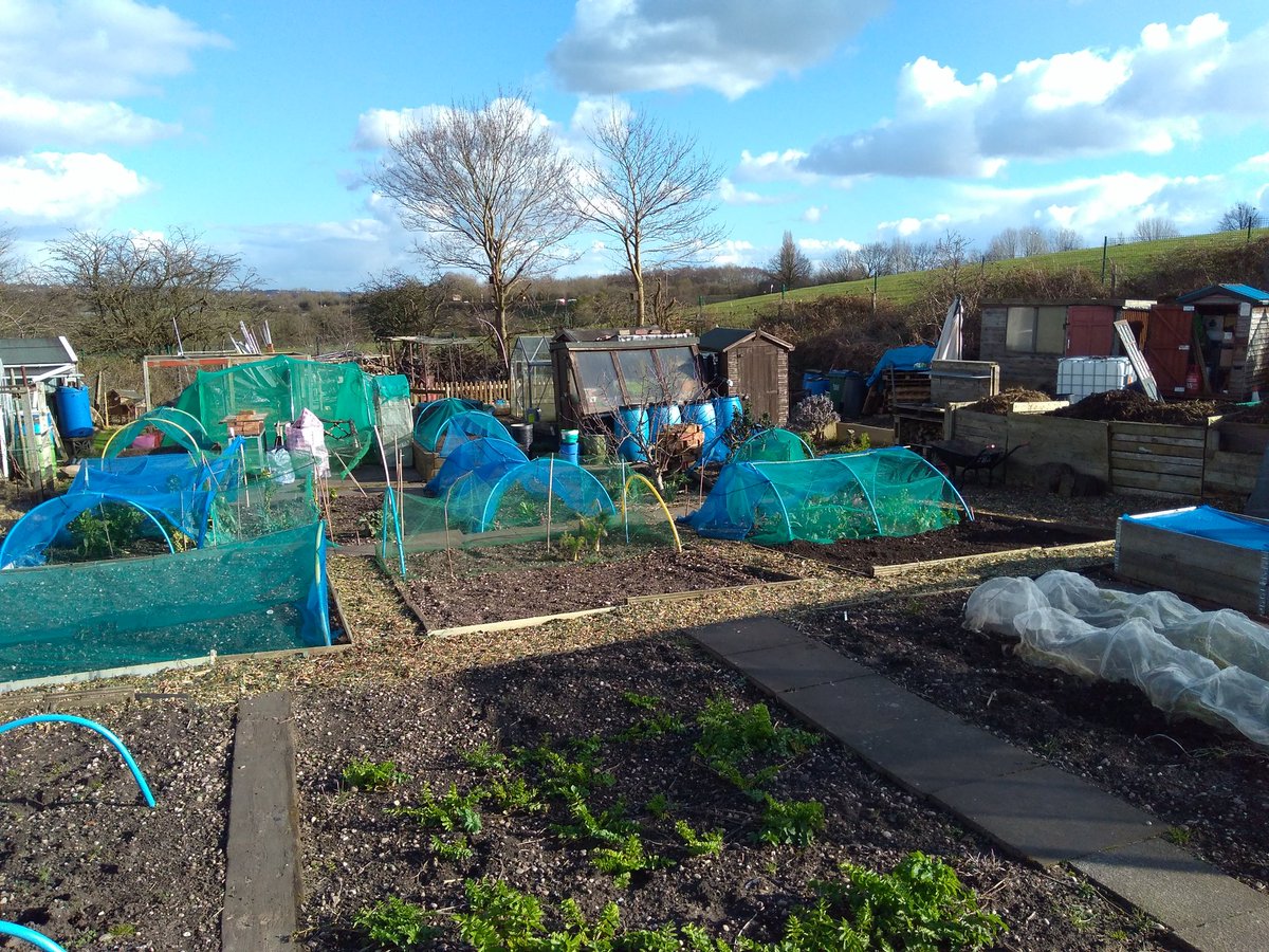 canudigit15's tweet photo. In a break in the rain, topped up the woodchip paths on #plot15 and turned  refilled the compost bays. #allotment hoping that the rain stops soon. https://t.co/C3R3Xj0V4Z