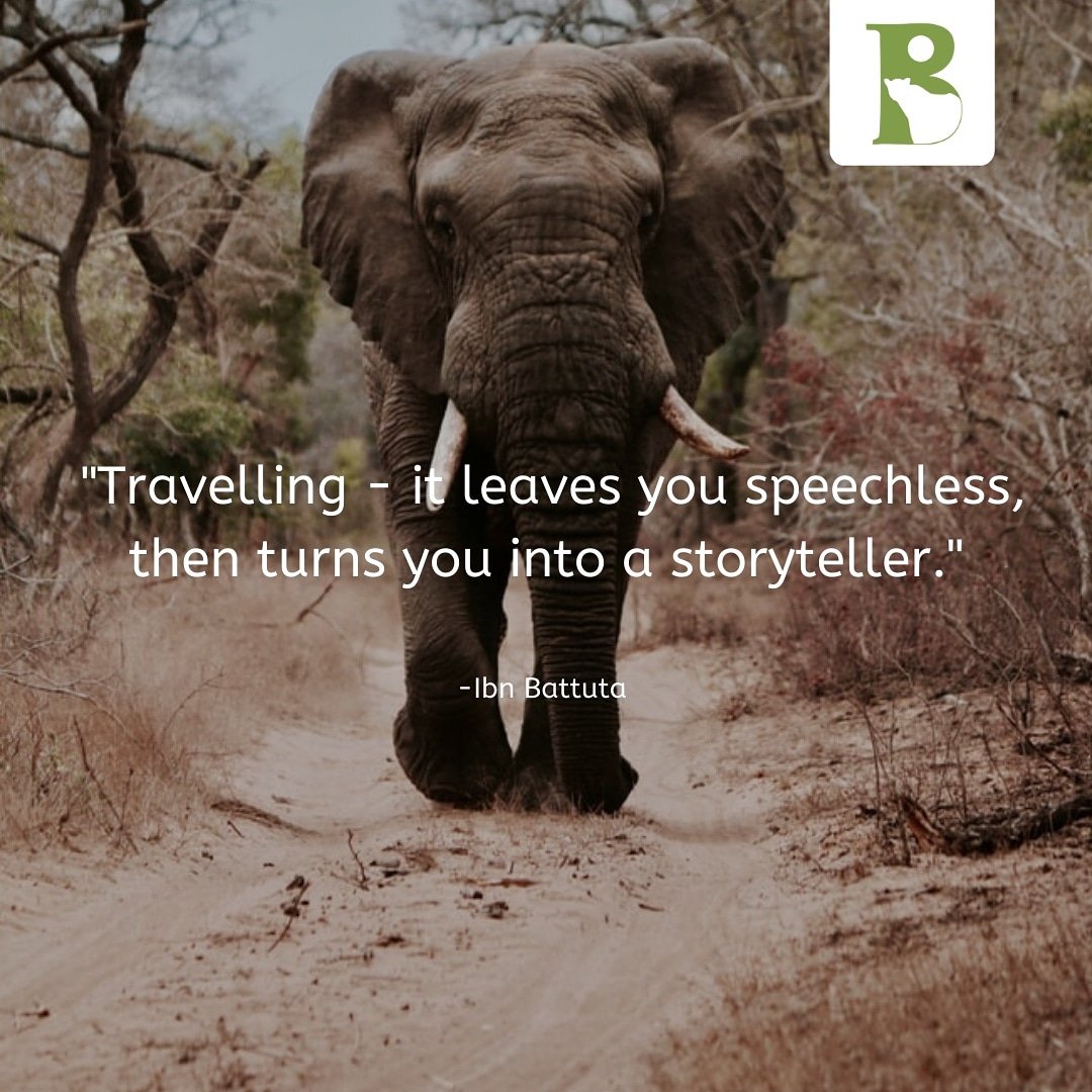 ebundulodge's tweet photo. "Traveling - It leaves you speechless, then turns you into a storyteller." - Ibn Battuta https://t.co/85beS2xb6a