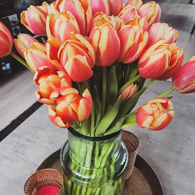 polibubbles's tweet photo. Thank you @gery_angelova95 
We have a beautiful new home with some flowers to match
.
.
.
.
#potd #photooftheday #photography #springtime #flowery #tulips🌷 https://t.co/jtGRrqeSz6
