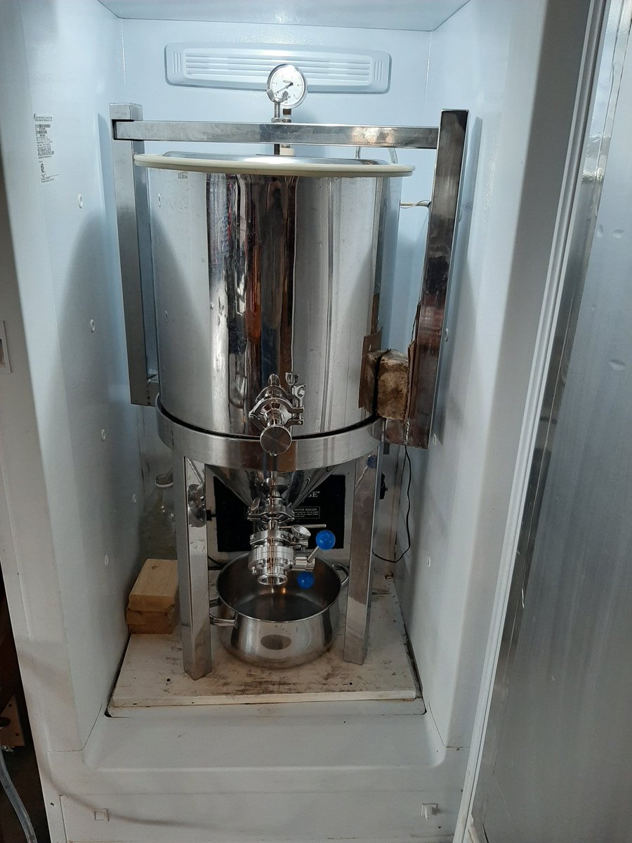 brischaefer's tweet image. ..and were off. Nice yeast activity &amp;lt;12hrs in conical. Can't beat the classics, N.German Altbier!