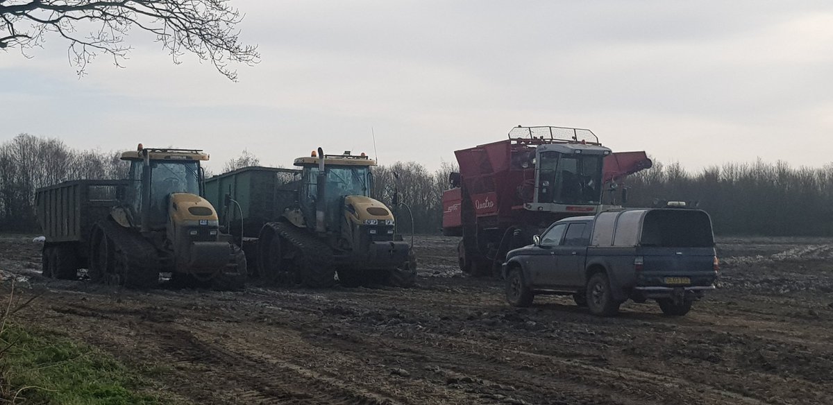 lovett_dan's tweet photo. @MrSealyp @realSilverNews cool looking set up on the way for the school run this morning. This is more Mudrunner meets FS19, #verymuddy #sugarbeet #harvest https://t.co/AUruvk2ju3