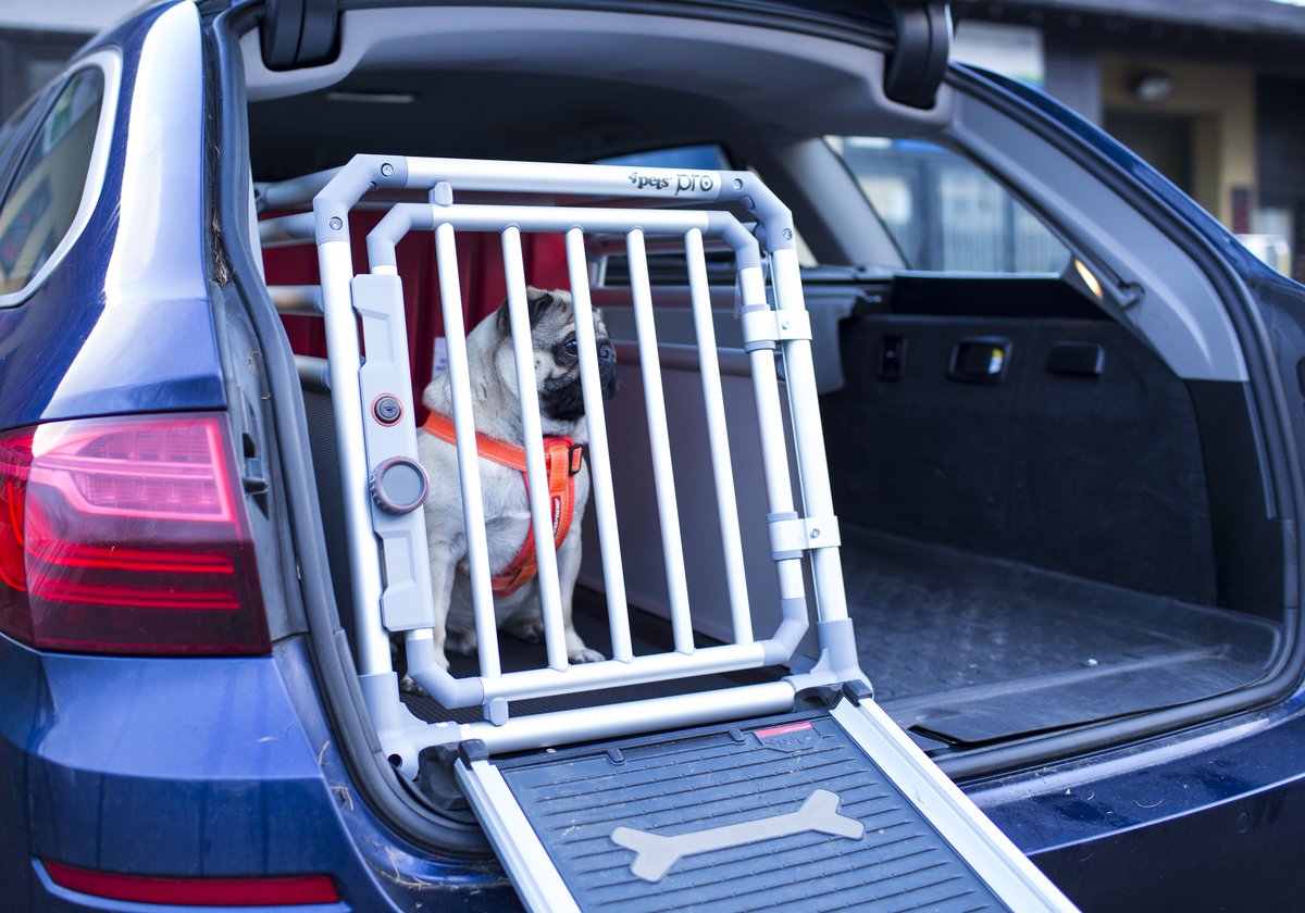 TWPets's tweet photo. Meet Percy Pug! He loves to travel in his 4Pets Pro Cage, which keeps him safe and compact whilst travelling. He also uses the 4Pets telescopic ramp to help him out of the boot! 
Visit our site here: https://t.co/NsBvyHclK5
#PawsomeTravel #TravellingwithPets https://t.co/Qbc02fctHy