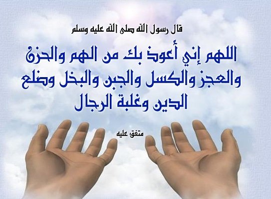 Ali Qenawi (@alyabass) on Twitter photo 