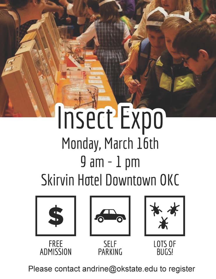 INSECT EXPO 2020
FREE educational bug event 
Monday, 16 March 2020, 9am-1pm
Skirvin Hotel, Downtown OKC
 
Youth will have opportunities to see and touch live insects, interact with professional entomologists, and take part in 20+ hands-on stations.  Come on by and get bugged!