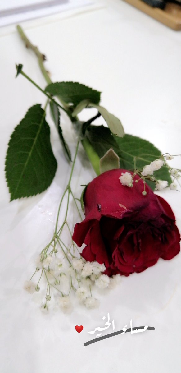 عسى سنين السعادة تصافحك باليمين 💗
