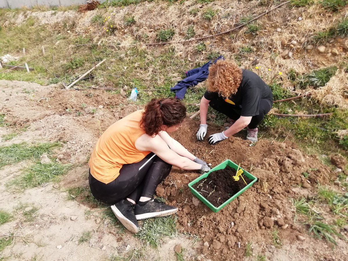 fondonatural's tweet photo. En el #diamundialdelavidasilvestre los voluntari@s de fondonatural hemos sembrado más #flores y reorganizado el vivero #forestal en
la #Minireserva del hortal de #Zaragoza
#MiniReservas #Wildcities #biodiversidad #bees #trees #AragonVoluntari #wildlife https://t.co/HTpPGOBewl