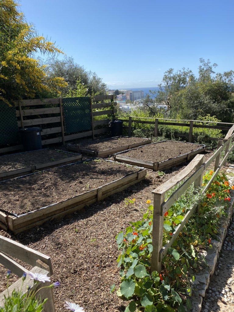 Over the next few months we will be working with the @alameda_gardens to re-wild an area near the Wildlife Park. The Alameda Biodome & Education team and volunteers have already prepared the area as part of the @BIAZA #GrabThatGap2020! #LocalSpecies #HabitsForHabitats #Wildlife