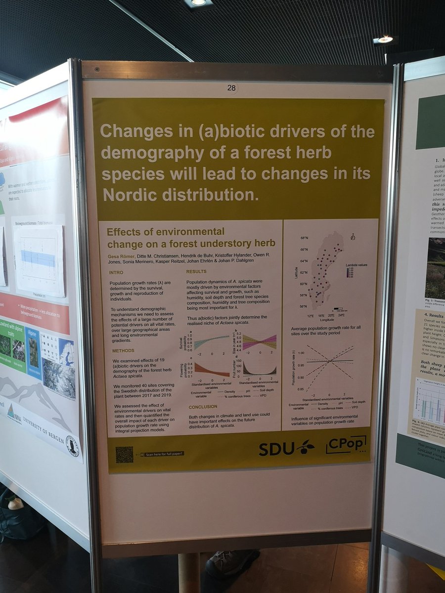 Gesa_R's tweet photo. The 2nd poster session at #NordicOikos2020 just started - check out my poster on a large-scale study on environmental drivers of a Swedish foerst herb and have a chat with me. #fieldwork #demography #ActaesSpicata https://t.co/vrQXp7lrZB