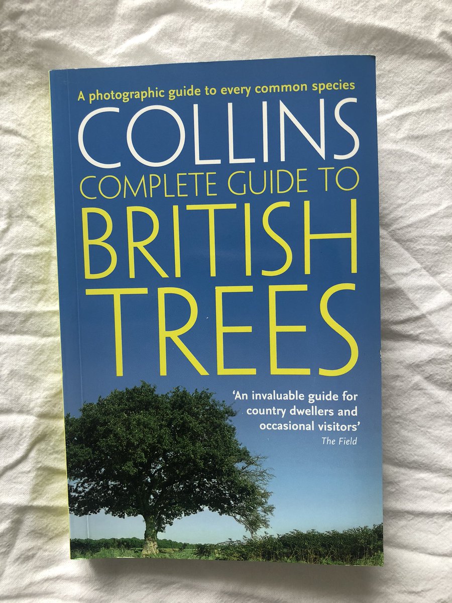 I jokingly said yesterday “I can’t believe I’ve got to the end of my degree and still don’t know much on flowers and trees” but embarrassingly it wasn’t even a joke! So, I have decided to get this book and hopefully I can improve my tree ID! #britishtrees #britishwildlife