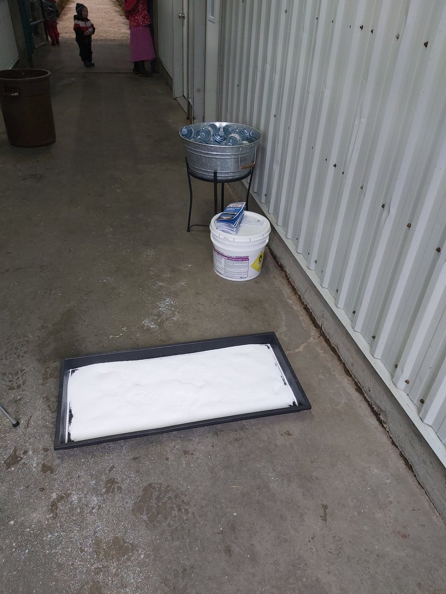 BrubakerDan's tweet photo. Were happy to sponsor the Security Floor Treatment for the Wellington County Car Tour! Come by and see us at Roger Martin's farm near Kenilworth @NorwellDairy @HolsteinCanada #dairydonewell https://t.co/icfQeYdHLw