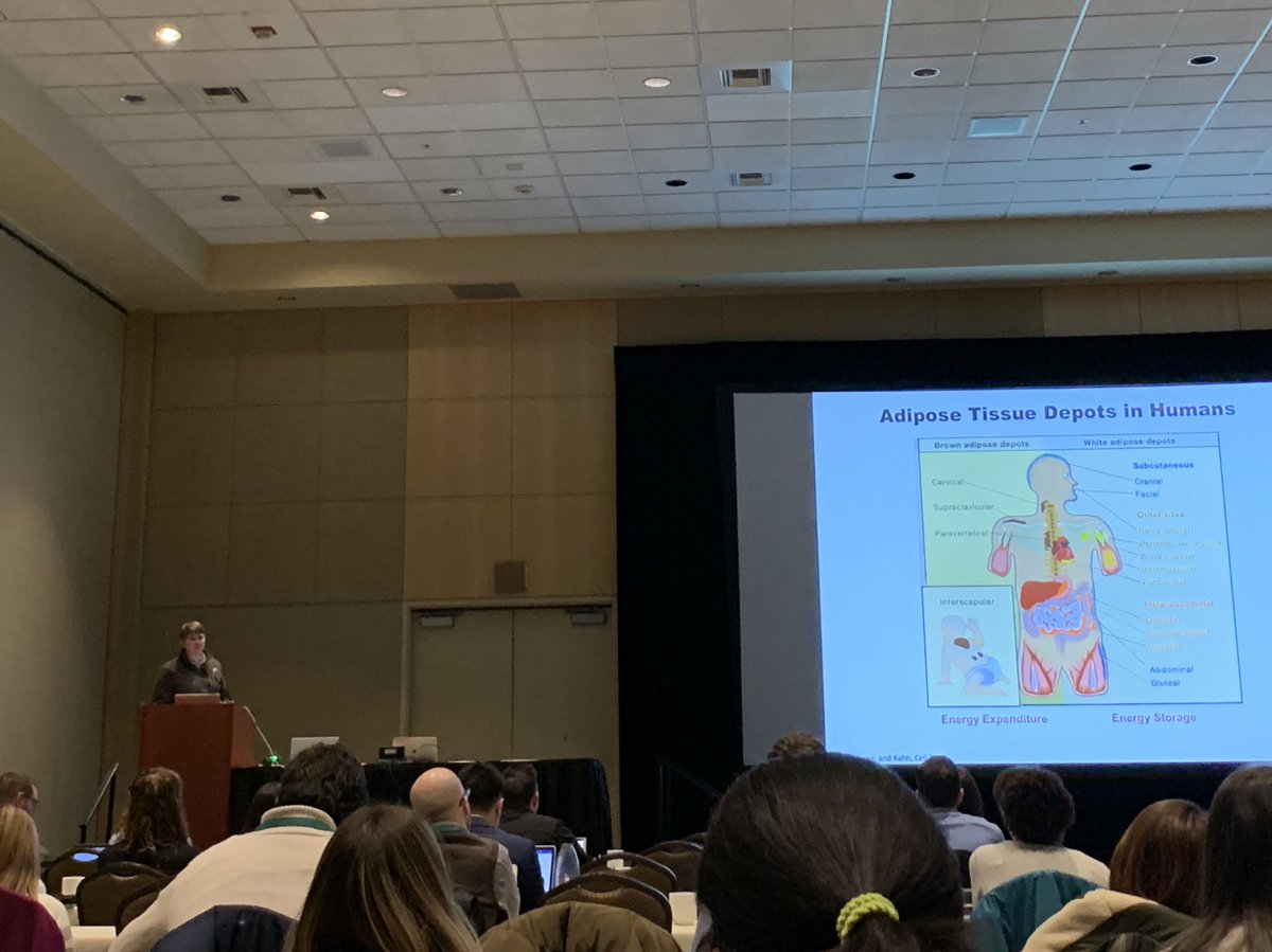 Lisa Baer (@lisaabaer) on Twitter photo Great job <a href="/kistanford6/">Kristin Stanford</a> presenting some exciting work coming out of the Stanford lab at #KSexercise. <a href="/OSUWexMed/">The Ohio State University Wexner Medical Center</a> Great job <a href="/kistanford6/">Kristin Stanford</a> presenting some exciting work coming out of the Stanford lab at #KSexercise. <a href="/OSUWexMed/">The Ohio State University Wexner Medical Center</a>