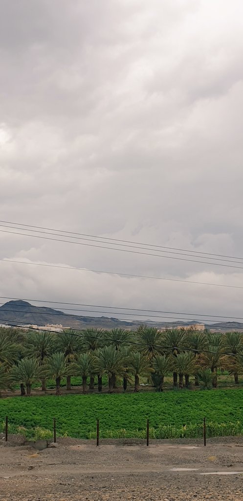 #عطنا_صوره_لديرتك

#خيالة_الشلاوى