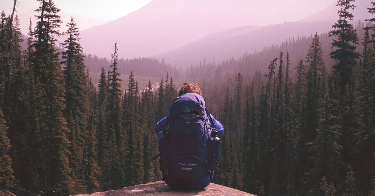 Whatever your interests a leisure vehicle holiday provides the freedom to go where you want, when you want, with who you want... bit.ly/3cxRx1m