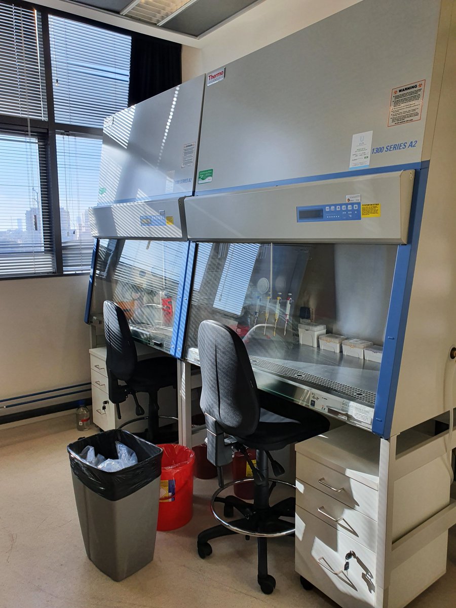What a great way to celebrate my birthday🥳🥳 My new lab is ready, all the equipment arrived and we are up and running! Exciting days to come 😀