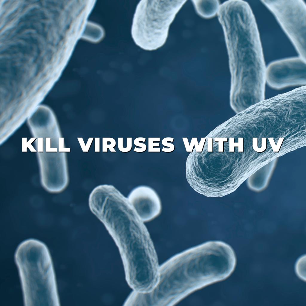 HoMedics's tweet photo. Finally, a UV Phone Sanitizer that kills 99.9% of harmful viruses in one minute! Available in a phone case or Bag. Try UV-CLEAN today! https://t.co/PEhwfUKIak #UVCLEAN #homedics #homedicsliving #homedicsofficial #healthyhabits #sanitizer #sanitization #germfree #clean https://t.co/vLNV0r8fPr