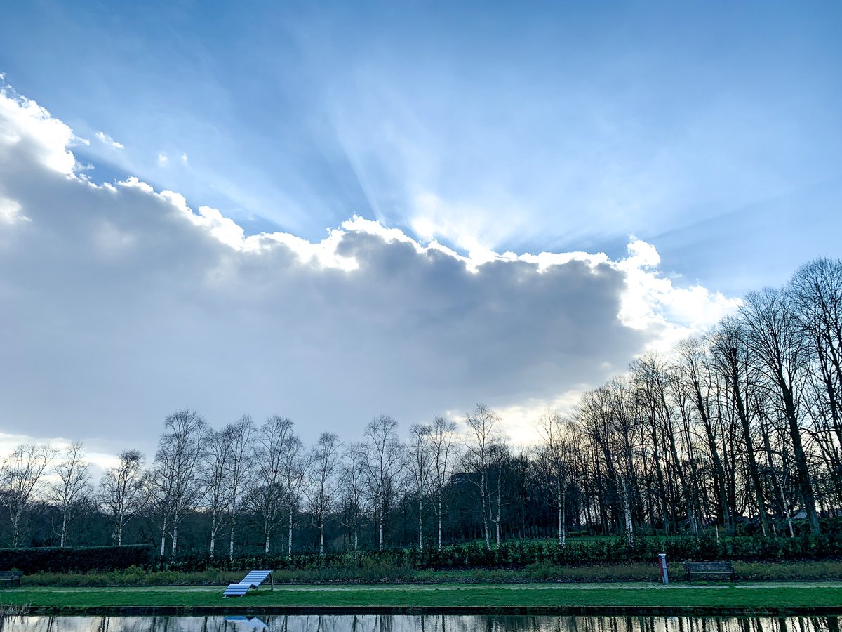 Wessel_66's tweet photo. De eerste tekenen van lente. 

#goffert #goffertpark #nijmegen https://t.co/fNLnhj15HR