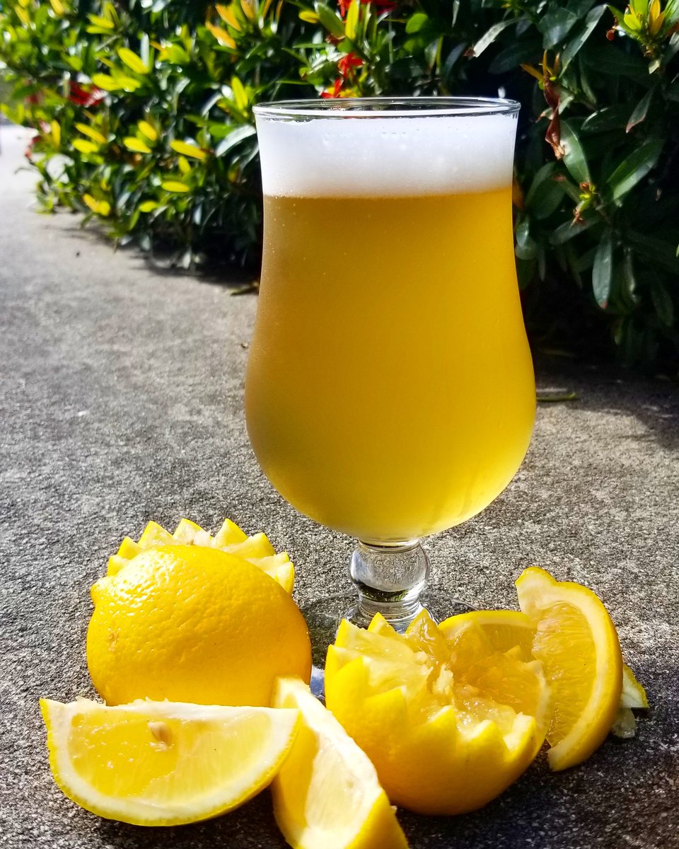 MashMonkeysCo's tweet photo. When life gives you lemons, put them in a beer! 

Lemon Sour was just tapped! Grab a pint before it's gone, there's only one keg, and it won't last long! Tap room opens at 3 pm!
Crowlers available. 🍋🍻  
#mashmonkeysbrewingco #mashmonkeys #meyerlemonsour #sourales #sebastianfl https://t.co/DqqmexGhMS