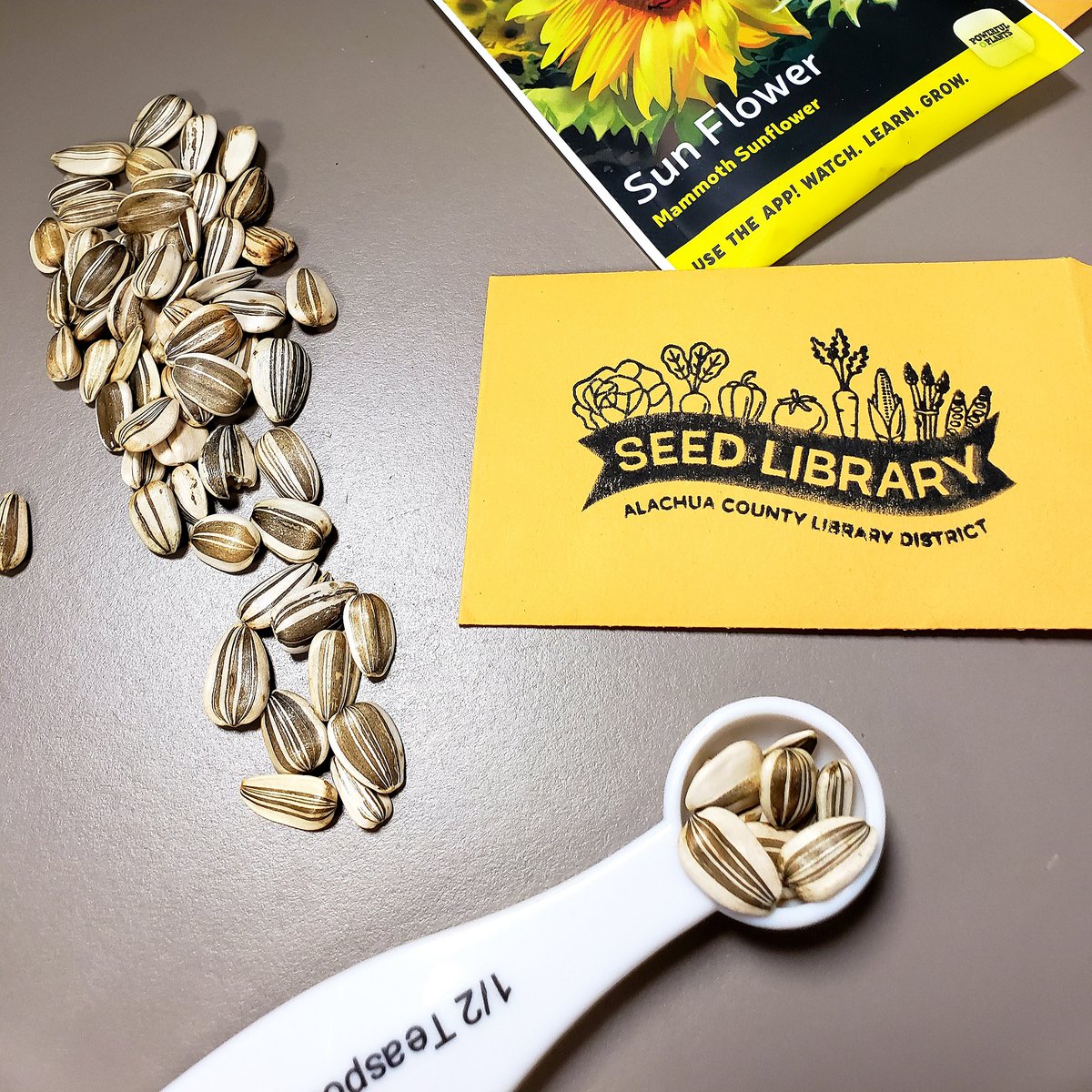 alachualibrary's tweet image. Great news growers! We&apos;ve created a new page dedicated to our #seedlibraries, complete with an FAQ and staff blogs dedicated to #seeds, #gardeningtips, and more!
aclib.us/SeedLibrary