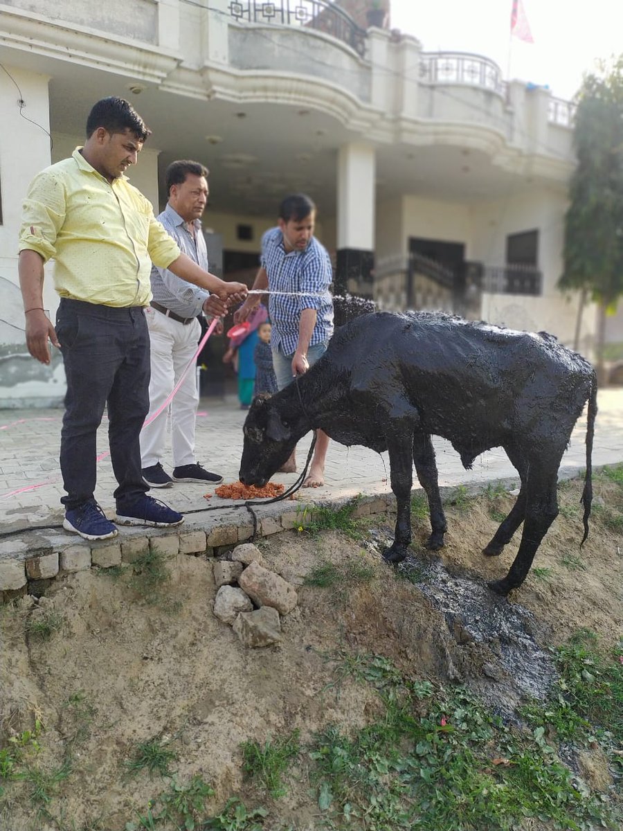 tarsem_insan's tweet photo. #MissionSatyug #Missionhumanity #HumanityWorksByDSS #DeraSachasauda #SaintDrMSG #MSGfan #Jakhal
गंदे नाले की दलदल से बछड़े को निकाला
जाखल (तरसेम सिंह)
@GreenSwelfares रिंकू यादव, शिवनारायण, विनोद सिंगला, रिंकू कुमार इंसा, प्रमोद कुमार काला इत्यादि घटनास्थल पर पहुंचे। https://t.co/3et50J0j4Z