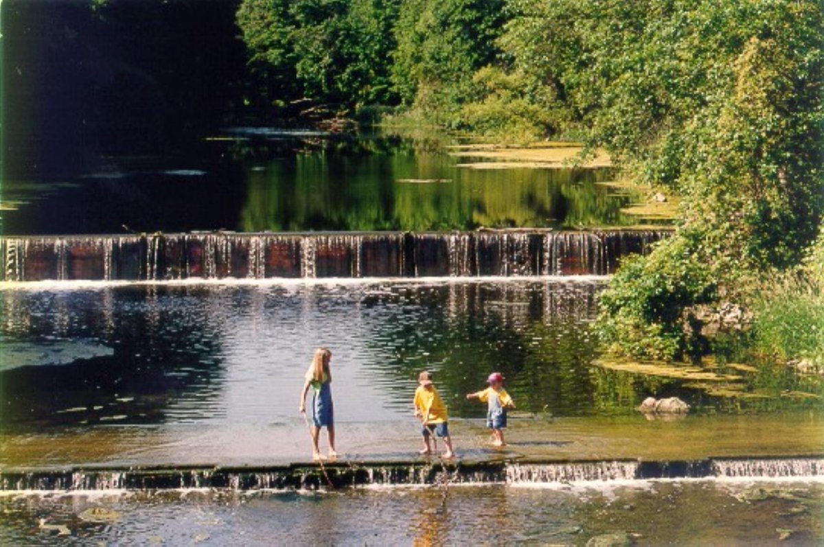 NPCA_Ontario's tweet photo. What are the health benefits of spending time in nature, you ask? 🤓 💭 Being in the outdoors has been proven to significantly mitigate the root cause of a multitude of ailments...stress! 

A bonus: time in nature ALSO improves our mental performance &amp; creativity! #DiscoverNPCA https://t.co/f12Jvv0SNV