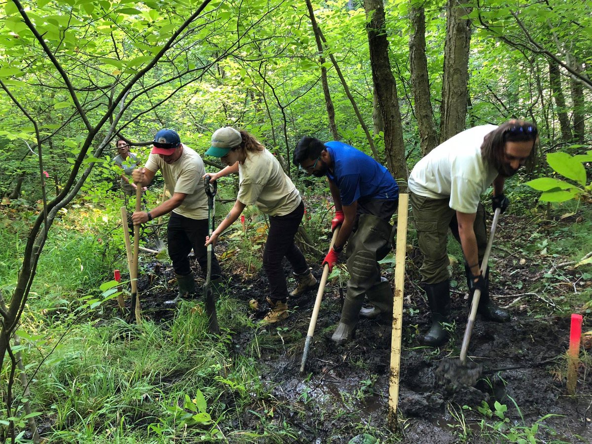 NPCA_Ontario's tweet photo. What are the health benefits of spending time in nature, you ask? 🤓 💭 Being in the outdoors has been proven to significantly mitigate the root cause of a multitude of ailments...stress! 

A bonus: time in nature ALSO improves our mental performance &amp; creativity! #DiscoverNPCA https://t.co/f12Jvv0SNV