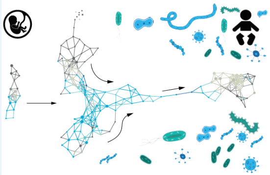 Our sincere congratulations to <a href="/BrodinPetter/">Petter Brodin</a> for winning the Göran Gustafsson Prize in medicine for his pioneering analysis of the early development of the human immune system. We are proud that Olink's technology has played some role in Petter's research: olink.com/petter-brodin-…