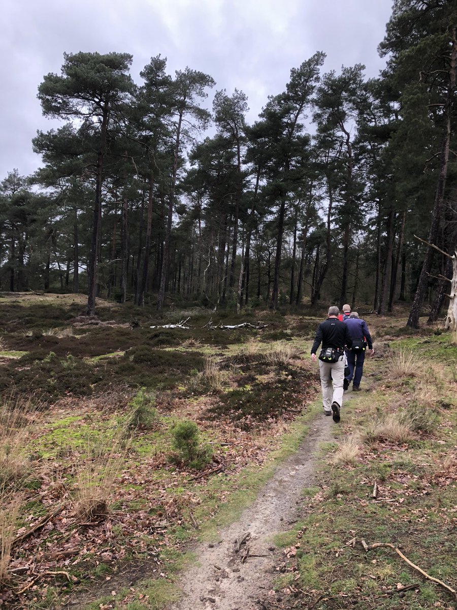 FLAL1973's tweet photo. Zaterdag aanstaande, alweer de 11e tocht van ons seizoen.Deze keer gaan we wandelen vanuit Spier.
De route loopt o.a door de prachtige bossen van het Nationale Park Dwingelderveld. U kunt kiezen uit 3 afstanden van: 25, 40 en 60 km. 👣U komt toch ook? Info https://t.co/vx3qEStW4L https://t.co/ipqWC6zhSw