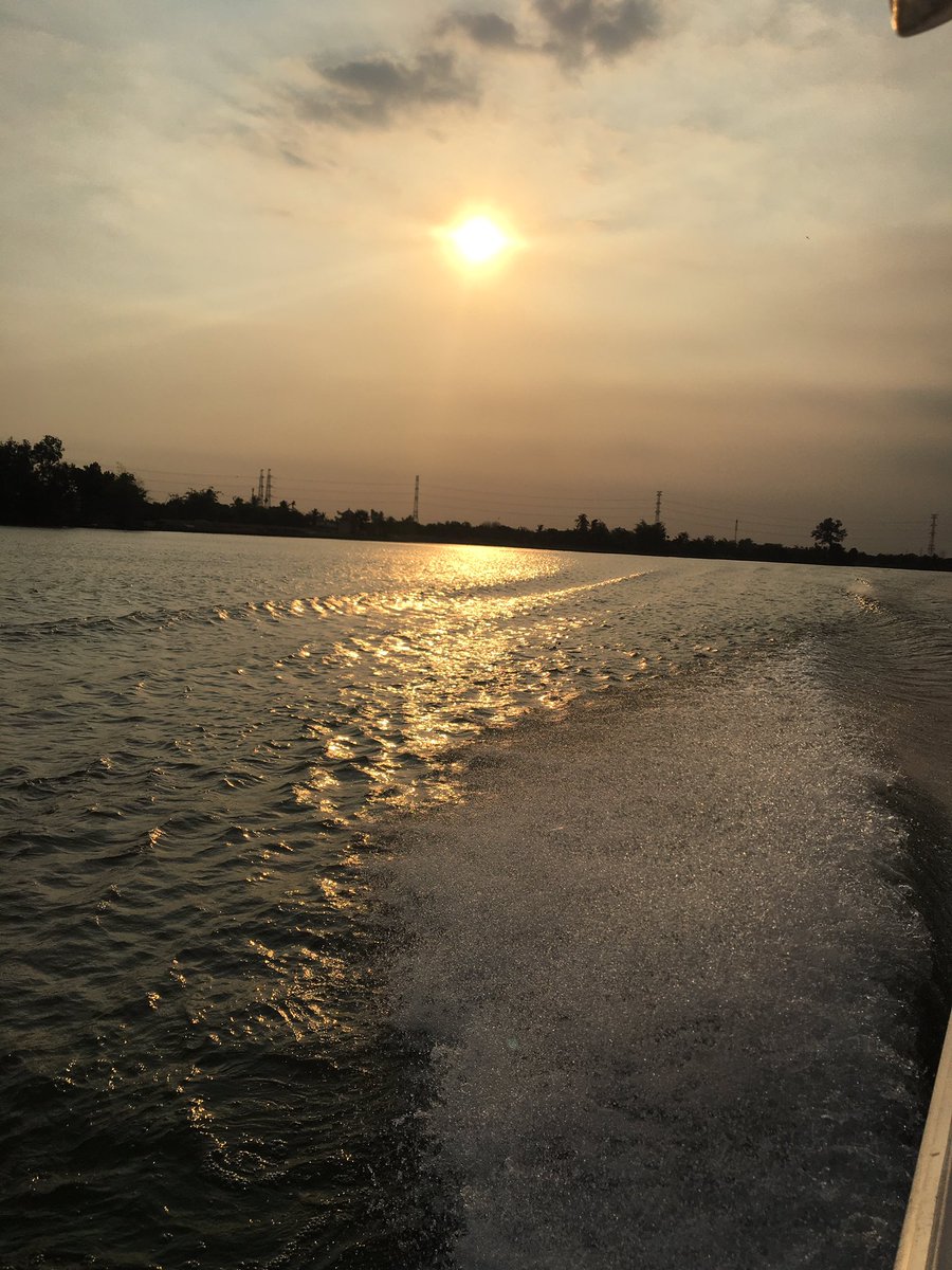 TimNichols3006's tweet photo. Today we have mostly been in the jungle ....now it’s back to the city for a cool bar and party🤟  #GlowWormMysteryTrip @glow_wormclub https://t.co/iI0l4jG5cr