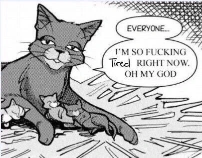 THE NEW MV... DROPPED.. LIKE THAT.. WITHOUT TELLING ANYONE 