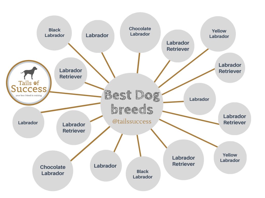 tailssuccess's tweet photo. We specialise in training Labradors. 

When asked “what is the best breed of dog?” we didn’t have to give it much thought!

#labradorretriever #labrador #chocolatelab #blacklab #yellowlab https://t.co/7Pd4RAewPi