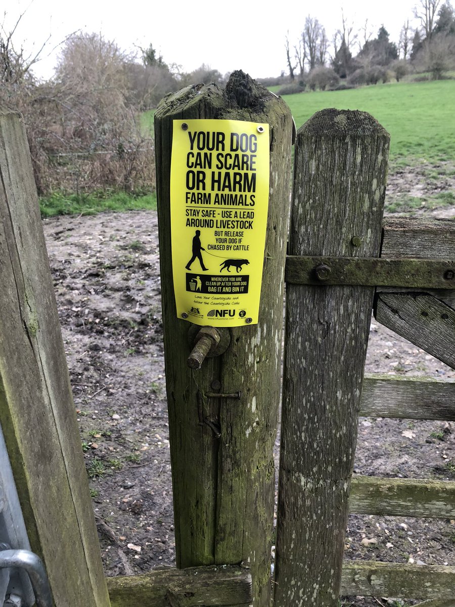 roughfellnorfol's tweet photo. Out battling, hopefully people pay attention!! #dogonleads #pickupshit #circularwalk https://t.co/E2pv0f1Hqa