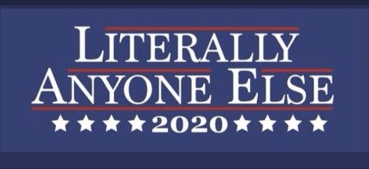 MarkEpstein20's tweet photo. @HellBentVet Trump is an existential threat to our country and it's form of governance. It is doubtful that the USA would continue as a representational democracy if he is reelected. For that reason,.it is imperative that we Democratic Pty voters #VoteBlueNoMatterWho #EvenBernie https://t.co/vfUQwJyIzk