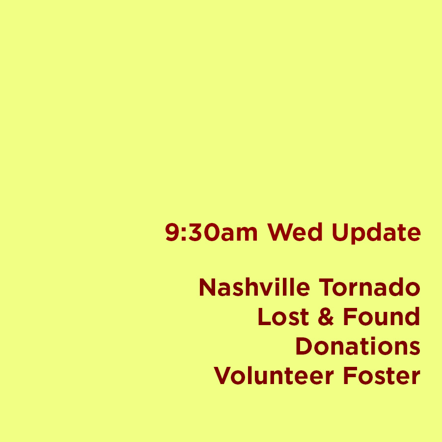 930AM WED UPDATE - First up, you're amazing. Your outpouring of support to help assist in the pet efforts surrounding Monday's devastating storm has been nothing short of tremendous. Thank you. Here's a thread on what is happening and how you can help. (1 of 7)