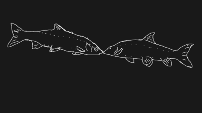karlabyrinth's tweet photo. On one hand I would recommend the fishling-timeline to follow #animalmarch or #animalmarch2020 today, but on the other hand I repost all the fish, anyway.

Here is my art in progress. You can reload the link every now and then to see the progress:

https://t.co/jyc5z41Rsl https://t.co/Vfz6tMEa2w
