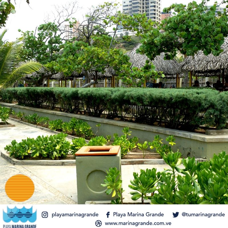 Acércate a tan solo 30 minutos de la ciudad de #Caracas a #PlayaMarinaGrande que te ofrece instalaciones óptimas para el disfrute entre amigos y familiares. ⛱🌊☀🕶👙
-
#PlayaMarinaGrande #Amigos #Vargas #Playa #Paseo #Familia #CuidatuPlaya #Seguridad #Limpieza