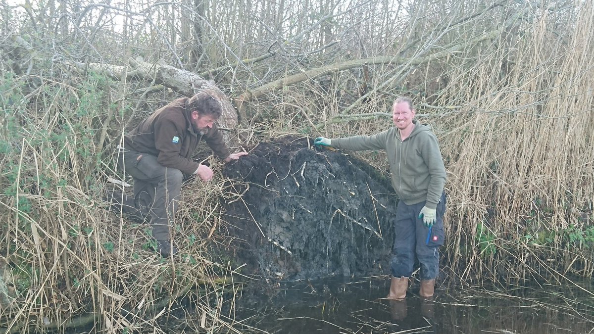 MadelonvS's tweet photo. Dagje meewerken met de vrijwilligers van @landschapnh in #eendenkooi t zand. Broedplaats voor de #ijsvogel gemaakt met #ijsvogelwerkgroep Den Helder. @Bosw8erChris @TurtlemanStef https://t.co/Cs0H6ZdN1N