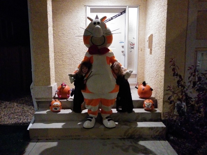 RateFat's tweet photo. Boo!  No, just kidding, this is actually Fat Cat.  Fat Cat contemplated joining the dark side, but instead decided to get some candy with her two little friends.  12/10 spooky but nice Fat Cat. https://t.co/o7LUCSFbqf