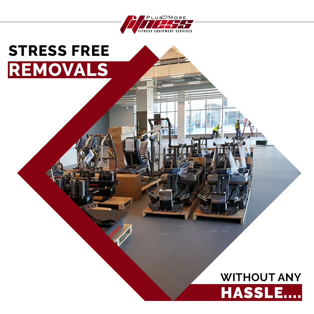PLUSMOREFITNESS's tweet image. At #PlusMoreFitness, we offer stress-free fitness equipment relocation service. Our technicians are experts in the correct methods for manoeuvering heavy and expensive gym equipment.

Give us a call at 817-714-5449 now, and let's discuss how we can help you relocate your gym!