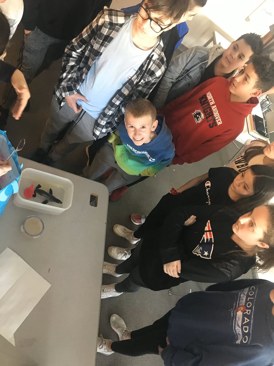 Grade7AMS's tweet photo. We needed to find the area of an oil spill, so we simulated an oil spill first! #AMS4life #understandingtheproblem #organizedwork #namingthepolygons #environmentalimpact #studentengagement @NAMiddle https://t.co/4rnDrdRzGQ