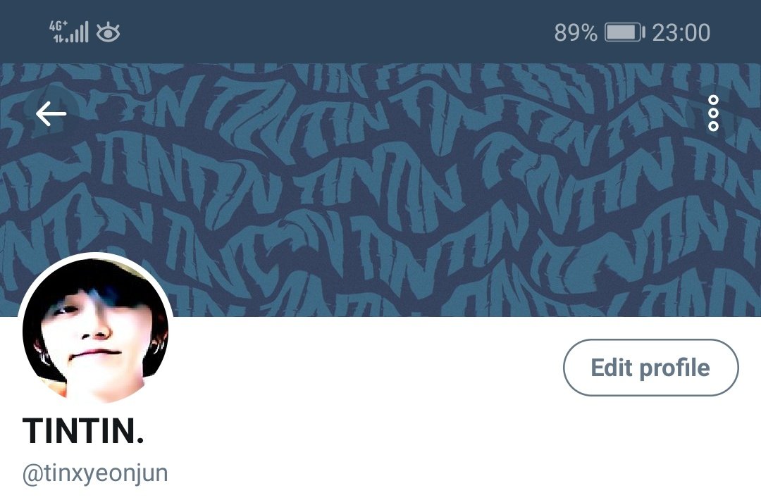 TINTIN. (log out) tweet media