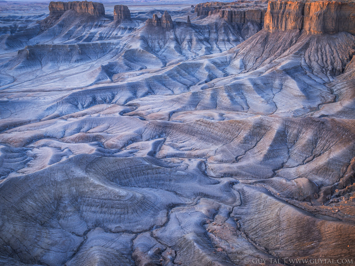 Nature Photographers Network tweet media