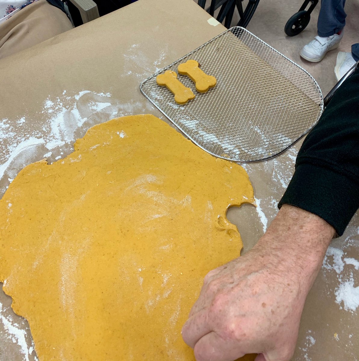 AzriaHealth's tweet photo. In celebration of #NationalDogBiscuitAppreciationDay, our cooking club at #AzriaHealthMontclair made homemade dog biscuits. When they were ready, we hand-delivered them to the @NEHumaneSociety for our canine friends to enjoy!
#AzriaHealth #Dogs #Puppies #NebraskaHumaneSociety https://t.co/dPslRPG4PR