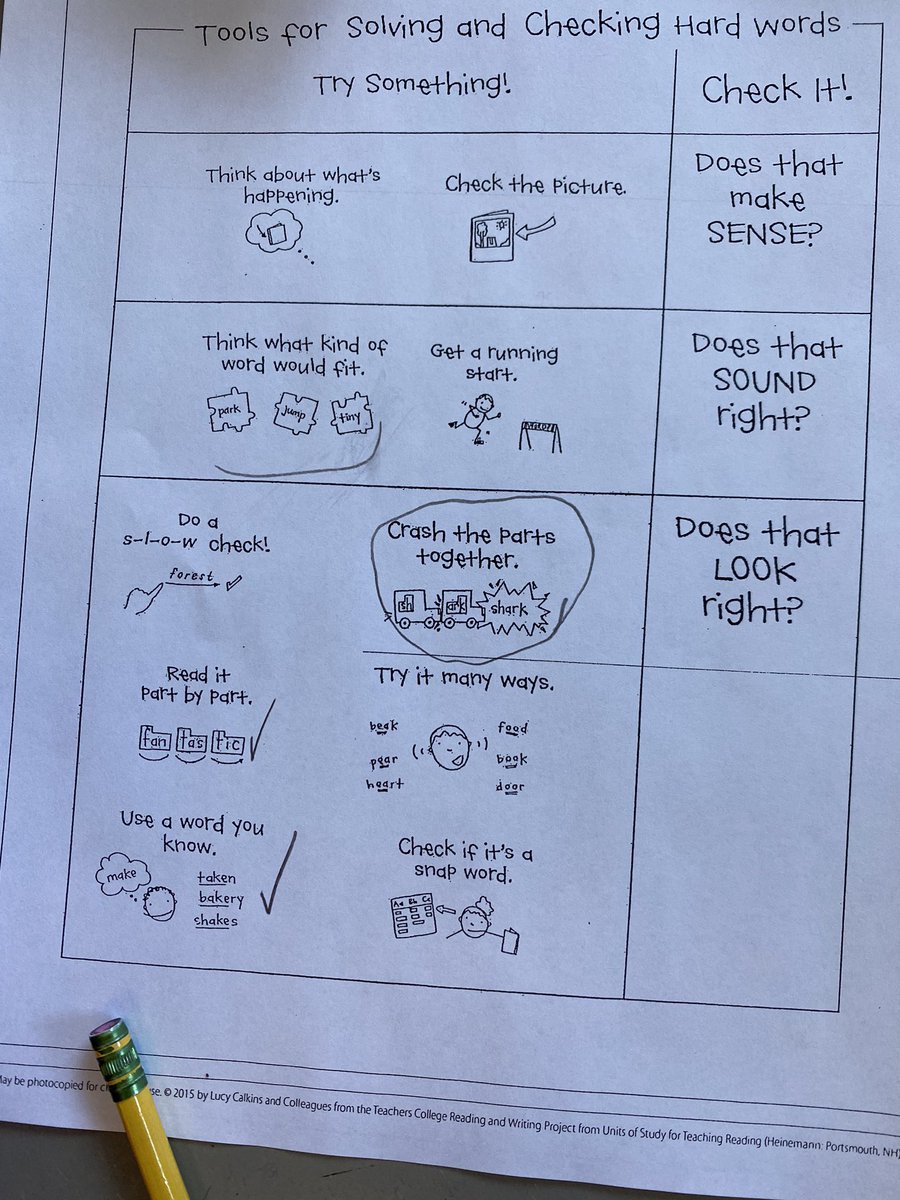 Mandy Freer tweet media