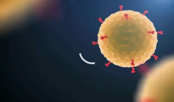 🦠 #Chinesescientists: the #coronavirus #COVID19 mutated in 2 variants: #Scov and #Lcov.

L-cov generally tin: more severe lung damage, faster transmission between people.