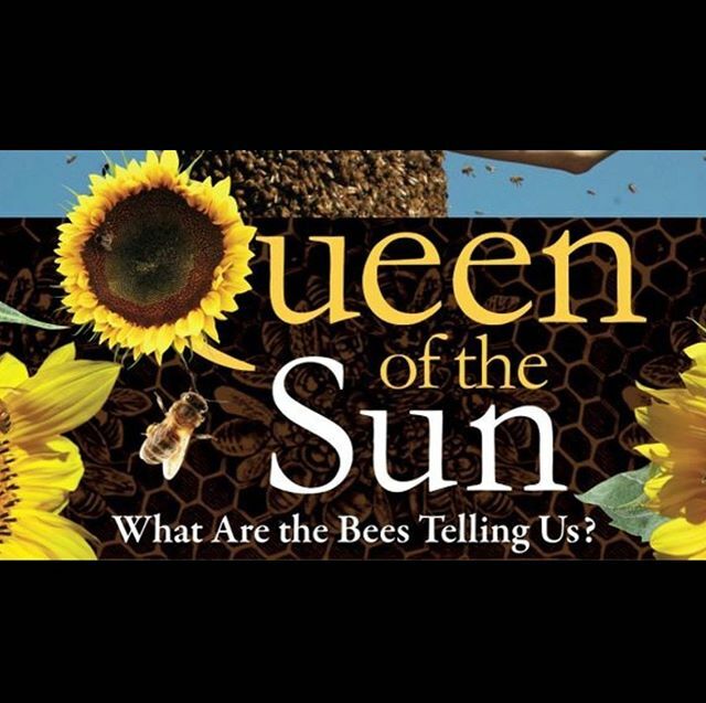 Come down to Decary 202 tomorrow night at 7PM for Honeybee Conservation Club’s showing of “Queen of the Sun: What Are The Bees Telling Us?” Snacks will be provided, along with club info for newcomers! #unebees #honeybeeconservation #beeclub #honeybees #uneenv