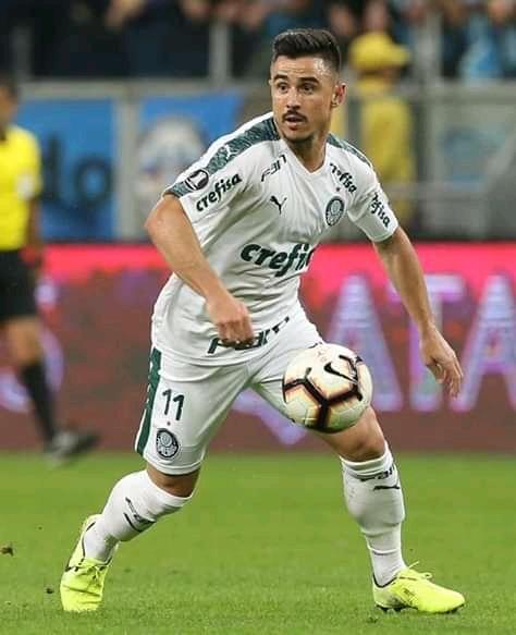 Gustavo3780's tweet photo. Raça, honestidade , garra e valor a camisa 🐷🐷🐷🐷💚💚💚💚 #Dubgod #Wilhiam #AvantiPalestra #FamiliaPalmeiras #Palmeiras https://t.co/7Zv8e2Ijkf